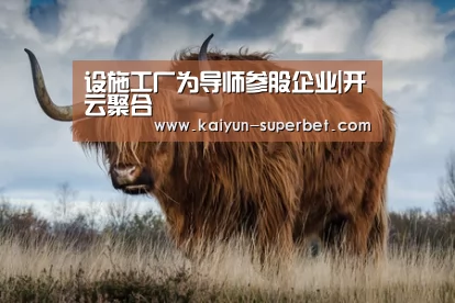 开云聚合
